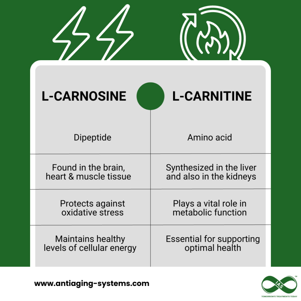 AAS Carnosine Carnitine