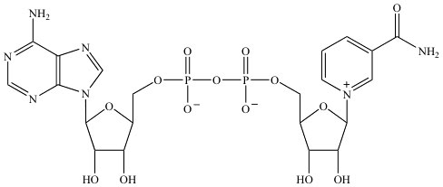 NAD chemical structure