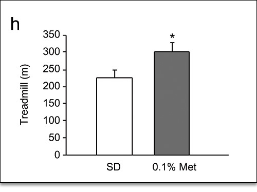 Treadmill Test