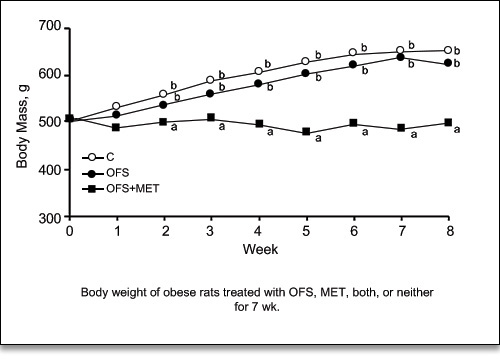 Comparison of the weight loss of obese rats