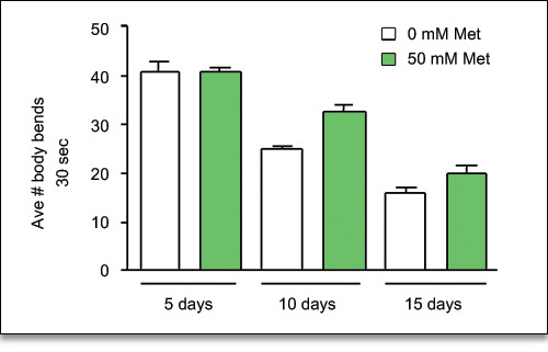 Comparison of activity levels of controls and Metformin-treated nematodes