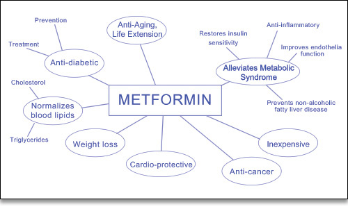 Metformin’s range of beneficial effects