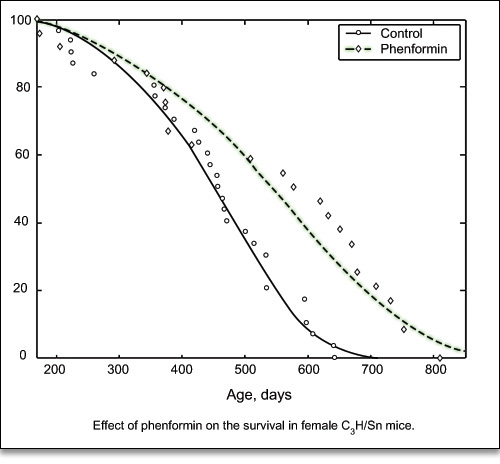 Effect of Phenformin 