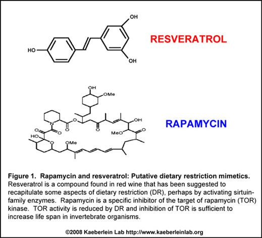 Resveratrol and Rapamycin