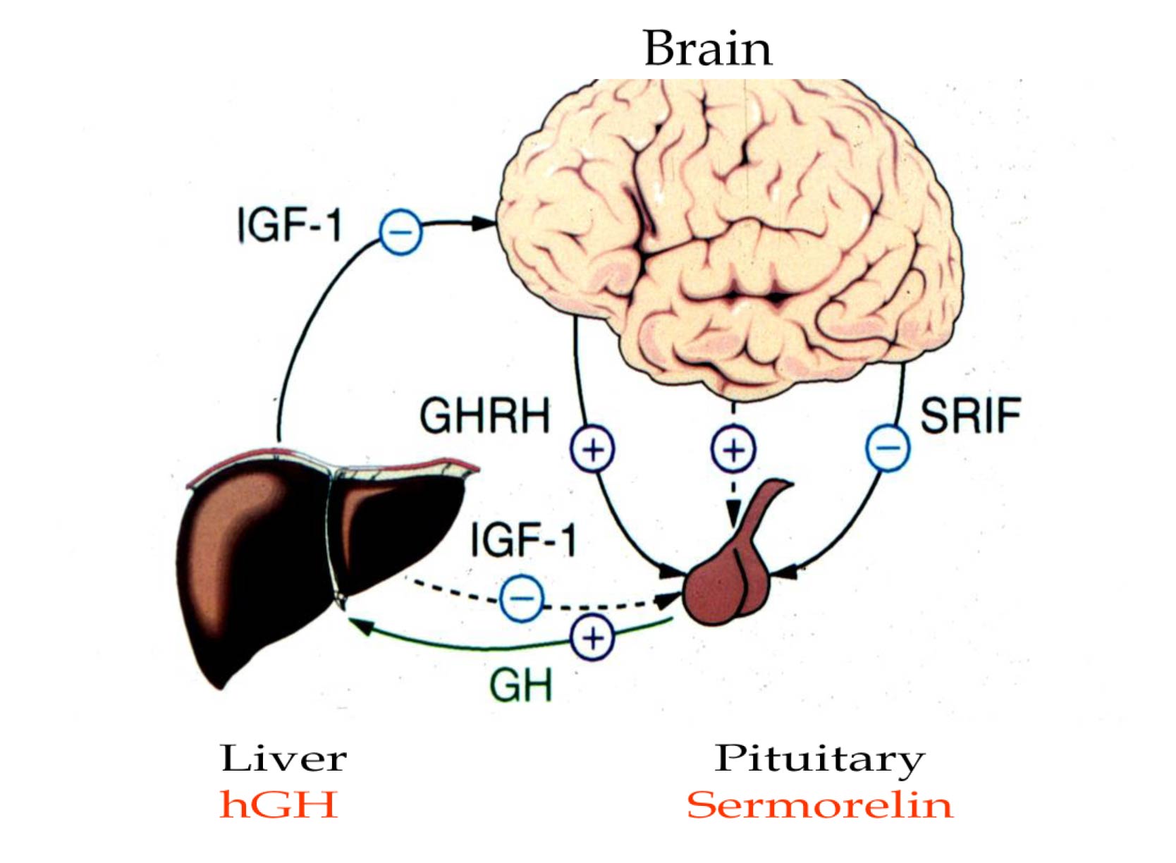 fig3