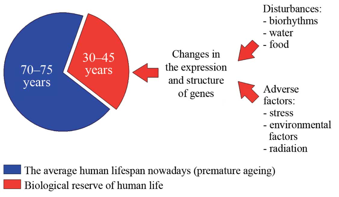 Potential increase in the average human lifespan