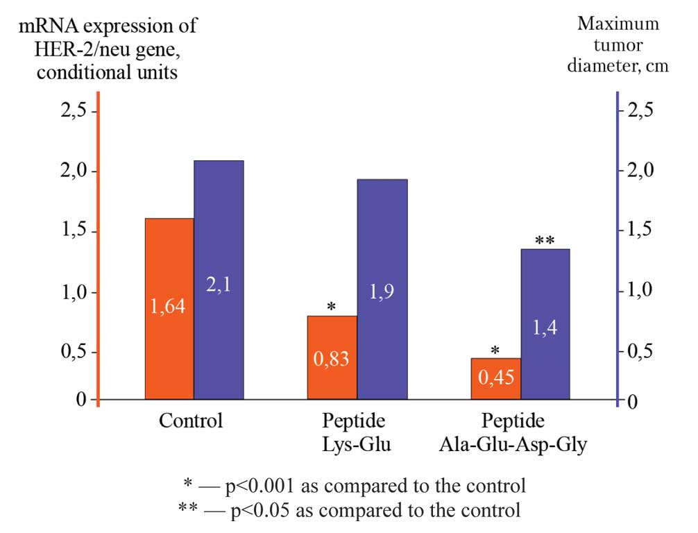 Peptides effect on the development of mammary adenocarcinoma