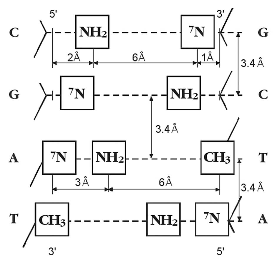 Metric location of functional groups