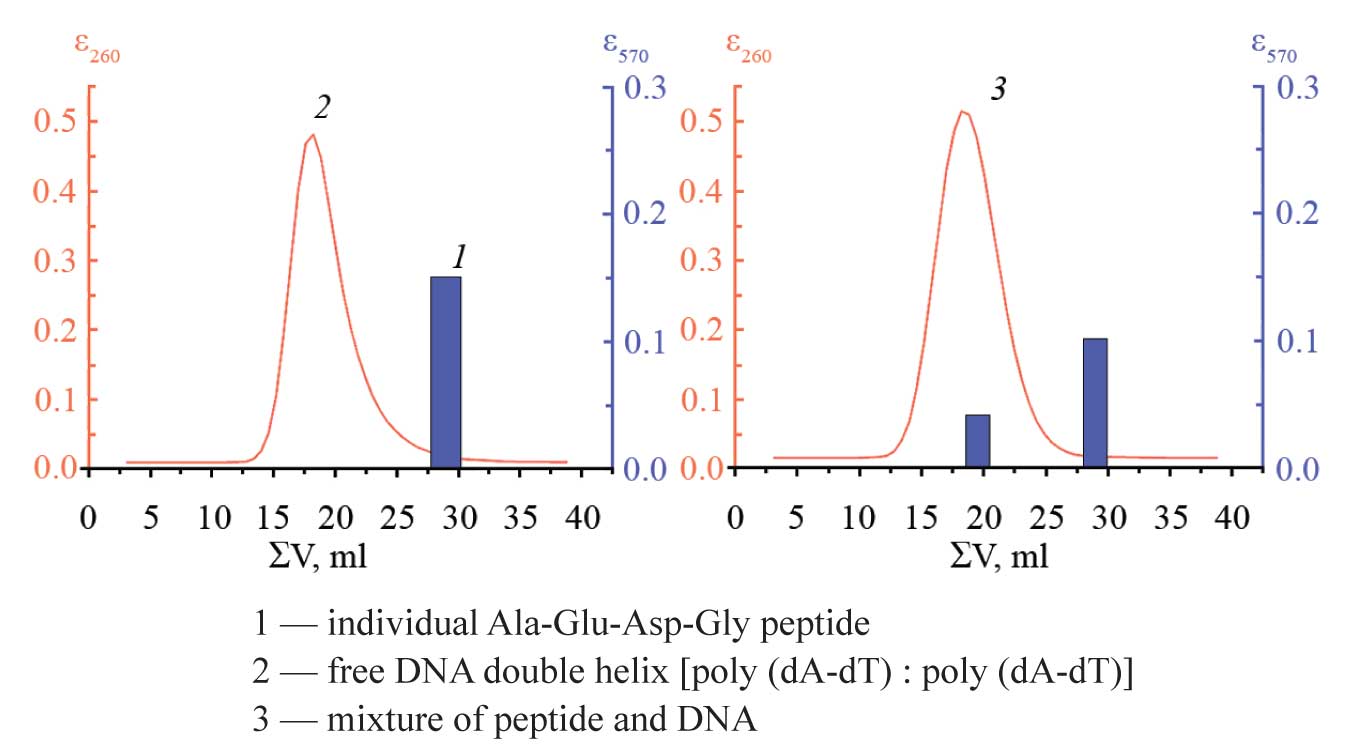 HPLC of peptide and DNA on sefadex G-25
