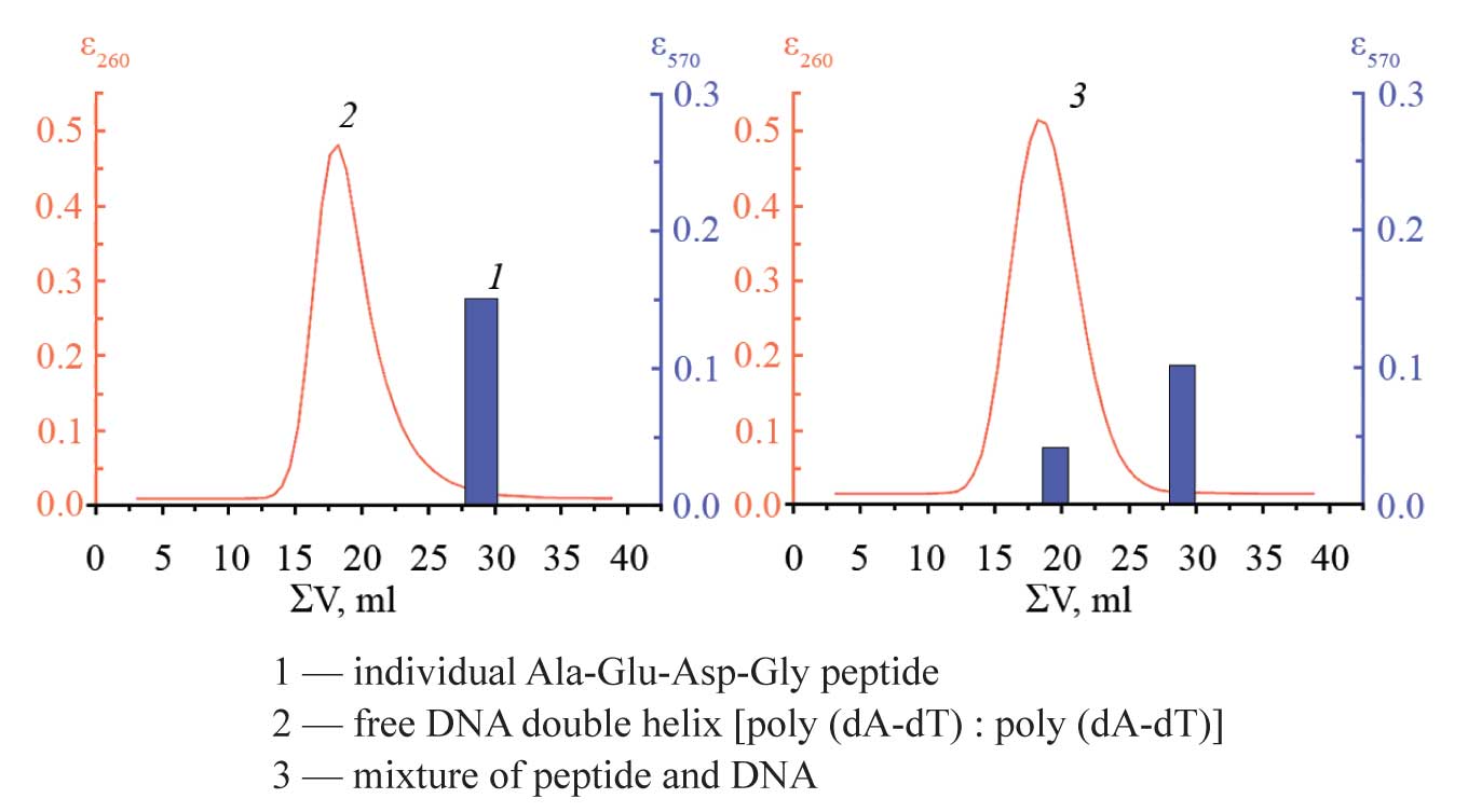 HPLC of peptide and DNA on sefadex G-25