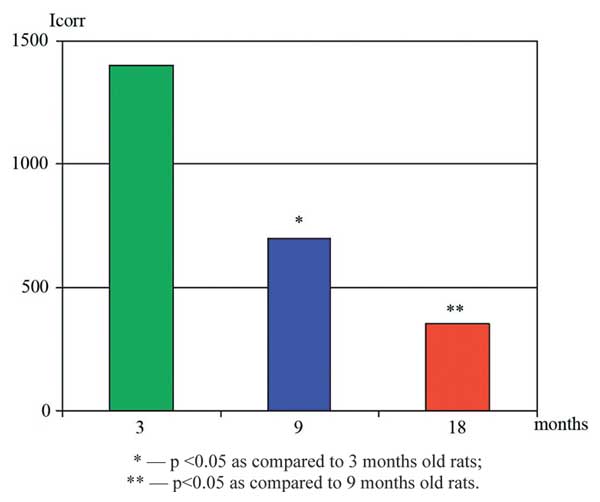 Protein synthesis in hepatocytes of rats of different age