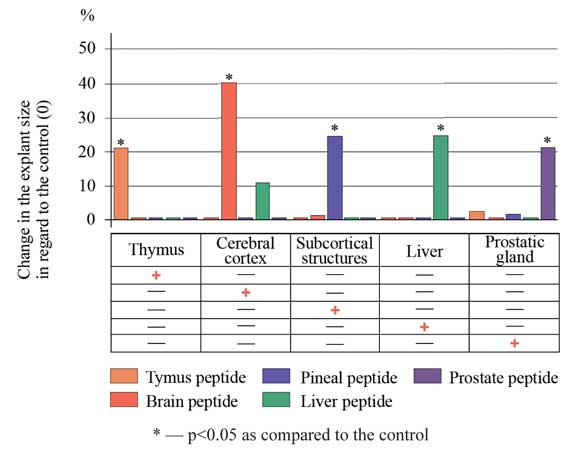 Peptide tissue-specific