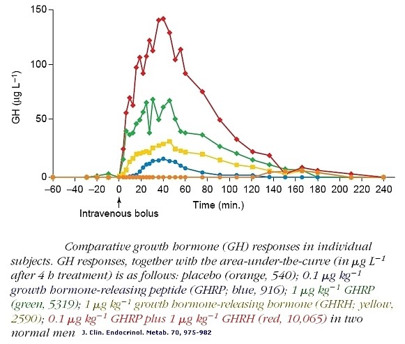 Comparative GH responses in individual human subjects. 