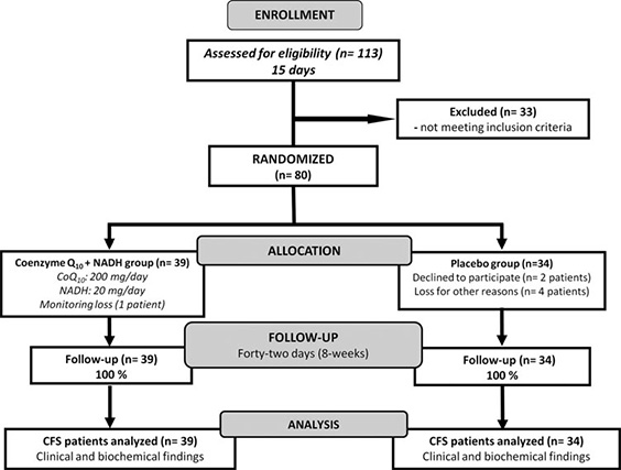 FIG. 1. Flow diagram showing the distribution of the participants from initial assessment to analysis of study data. Details are given according to the Consolidated Standards of Reporting Trials (CONSORT) statement for reporting randomized controlled trials.