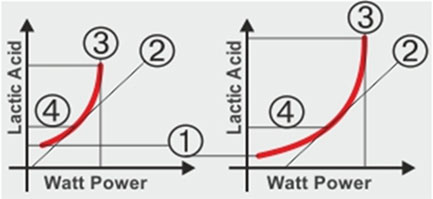 The influence of Mito-Pro2™ (right) on improving the lactic acid threshold under exercise