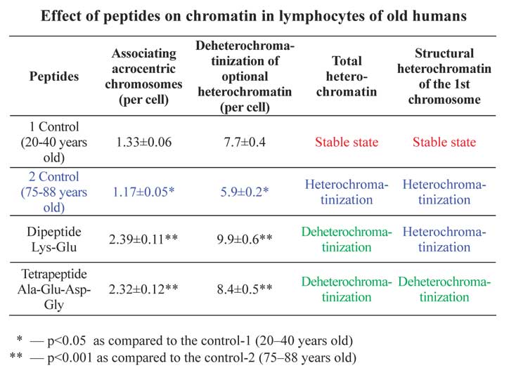 Effect of peptides on chromatin in lymphocytes of old humans