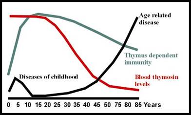 Shows the relation between a decrease in blood levels of thymic peptides and the direct correlated increase with thymus dependant immunity and its increase on age related diseases